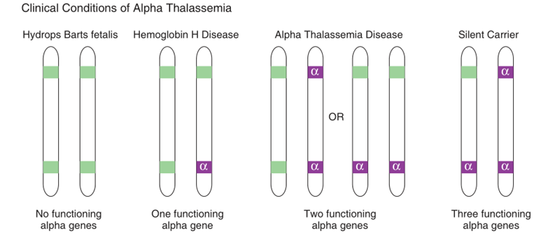 alpha-Thalassemia